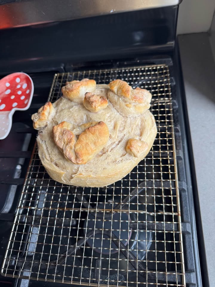 Fresh sourdough cooling on a wire rack